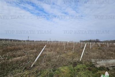 Teren de 28000 mp, în Hârșova - 4