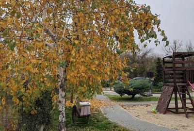 Garsonieră în Central - 12