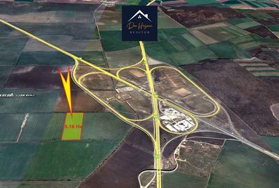 Teren agricol intravilan de 81600 mp, în Tunari - 3