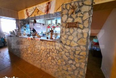 Spațiu comercial, de 500 mp, în Bucium - 11