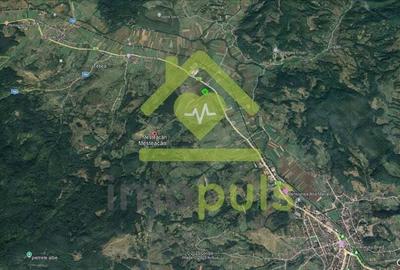 ? Teren intravilan 10.000 mp Mesteacan, jud. Hunedoara ? - 4