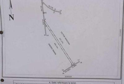 Teren de 5000 mp, în Brănești - 5