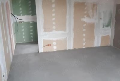 Casă cu 3 camere cu Teren 1501 Mp în Micula - 6