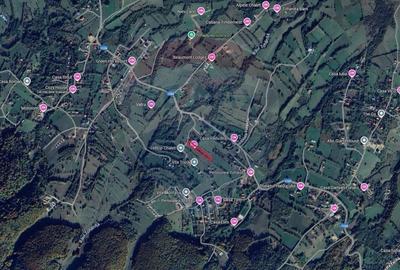 Teren Construcții intravilan de 4223 mp, în Tohănița - 18