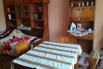 Casă cu Teren 4500 Mp în Ștei - 4