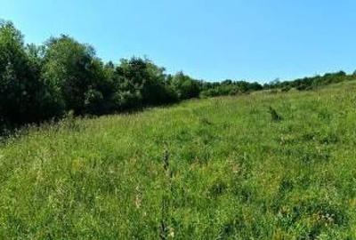 Teren agricol extravilan de 8008 mp, în Hășdat - 5
