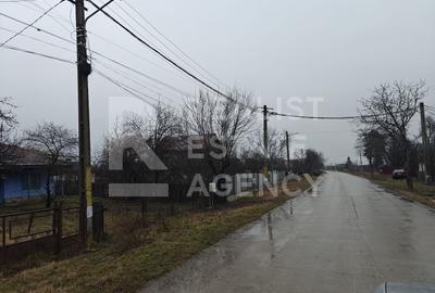 Teren Construcții intravilan de 2500 mp, în Sculeni - 4