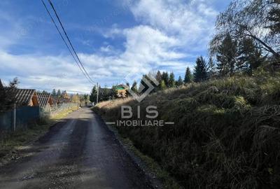 Teren de vanzare 12 ari - COLIBITA - 3