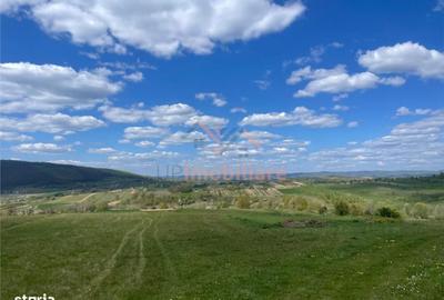 Spațiu comercial, în Bălnaca - 3