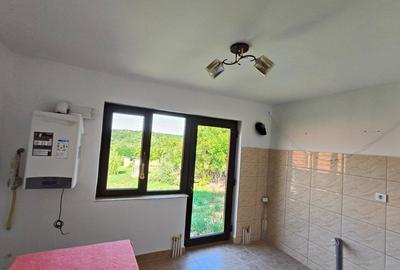 Casa P+M la gri de vanzare - Rasova, comuna Balesti - 2