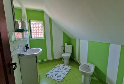 Casa de vanzare in Mocira, 3 camere + anexa tip garsoniera Comision 0% - 11