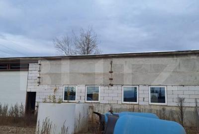 Teren industrial cu constructii demolabile sau nu - 6