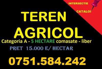 Teren de 50000 mp, în Cataloi
