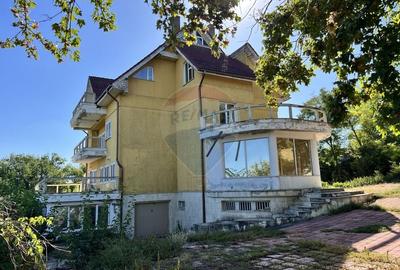 Casa cu potential imens in Sat Lilieci, pe Aleea Florilor - langa raul - 35