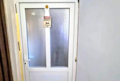 Apartament cu 1 cameră, zona Bălcescu, spațios, cu grădină - 3