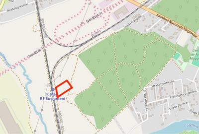 Oportunitate Investitie - 6000mp - Mogosoaia - 2