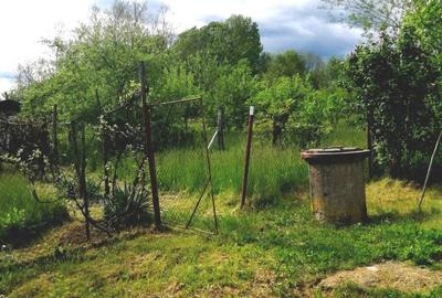 Casă cu 3 camere în Provița de Jos - 2