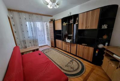 Garsoniera Calea Buziasului - 14