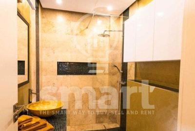 Apartament cu 2 camere, mobilat în Europa - 4