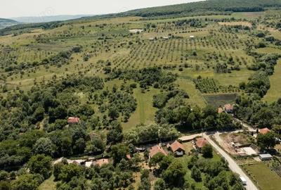 Teren de 3382 mp, în Corușu - 1