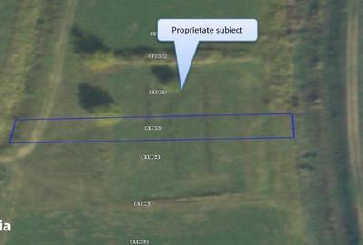 Teren de 5000 mp, în Lunca - 5