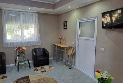 Garsonieră semidecomandată în Ferentari - 8