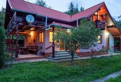 CASA INDIVIDULA CU ETAJ, MOBILATA SI UTILATA, 735 MP TEREN, ACTE LA ZI, SUCEVITA - 1