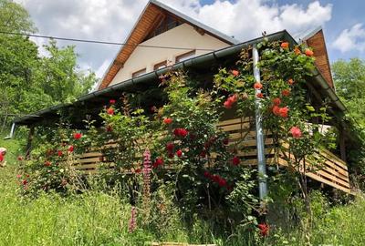 Casă cu 7 camere în Drajna - 2