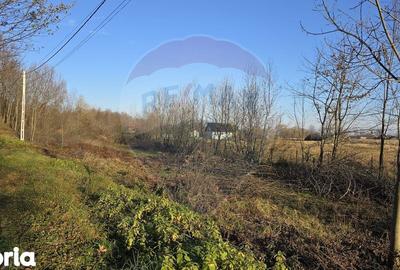 Teren de 10860 mp, în Gălănești - 12