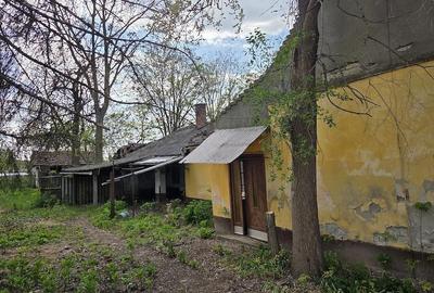 Casă cu 3 camere cu Teren 1770 Mp în Central - 7