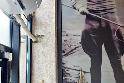 Spatiu comercial/Restaurant,terasa, gradina de vara, 1 Mai, de inchiriat - 13