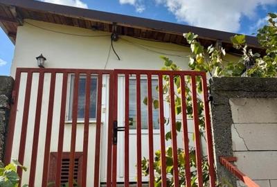 Casa de vanzare – Costesti, judetul Arges - 3