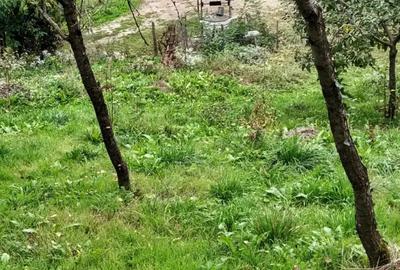 Casă cu 2 camere în Pietrari - 2