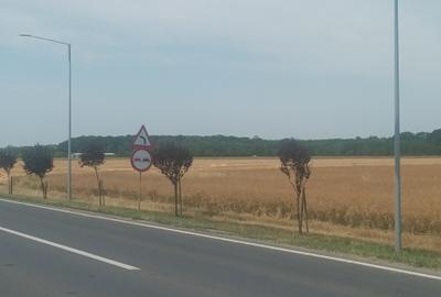 Teren Construcții intravilan de 21500 mp, în Brănești - 21