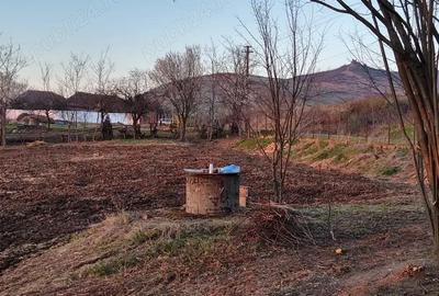 Teren de 3225 mp, în Șiria - 6