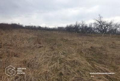 Teren Construcții intravilan de 3841 mp, în Covăsinț - 2