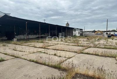 Teren 2100mp si hale de inchiriat zona Iosia - 3