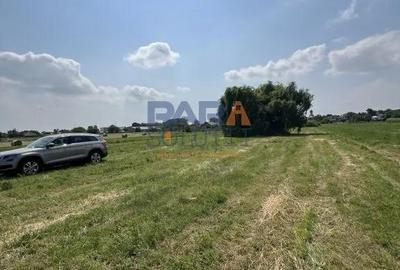 Teren de 5200 mp, în Sud - 5