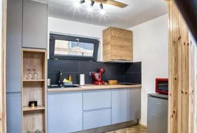 Cabane scandinave premium, vedere catre padure investi?ie turistica in Sinaia - 3