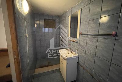 Casa Freidorf - Dambovita langa Alfa - 4
