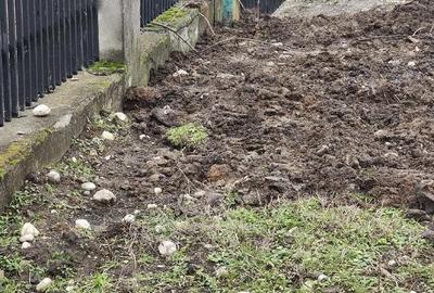 Casă cu 6 camere cu Teren 2160 Mp în Baciu - 8
