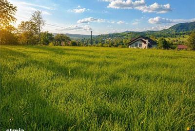 Spațiu comercial, în Ibănești - 4