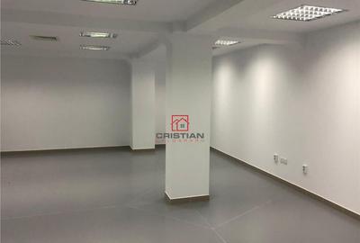 Depozit/hala/spatiu industrial Theodor Pallady - Drumul Int - 12