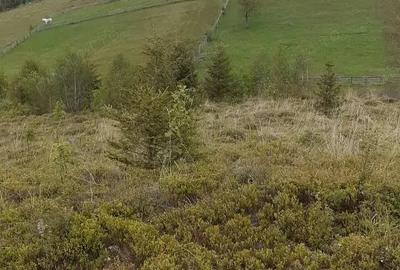 Teren de 4460 mp, în Măguri