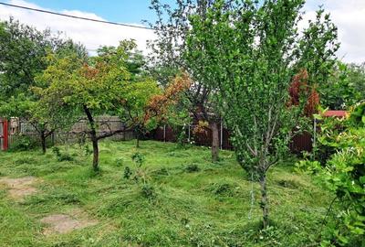 Casa cu teren la Polovragi - 13