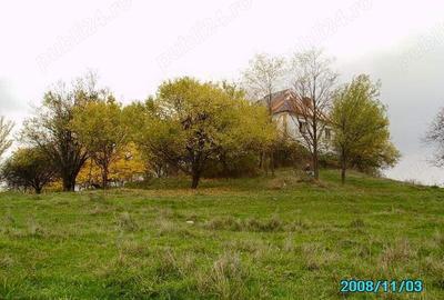 Vanzare teren 1000mp cu conac - 3