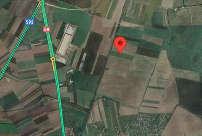 Teren agricol intravilan de 18600 mp, în Șag