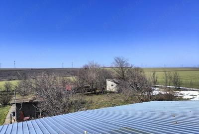 Casă cu Teren 6308 Mp în Smârdan - 2