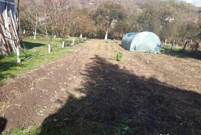 Casă cu 2 camere cu Teren 2000 Mp în Arduzel - 10