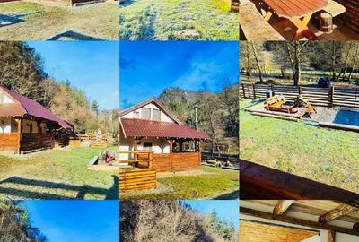 Cabana rustica la munte - 5